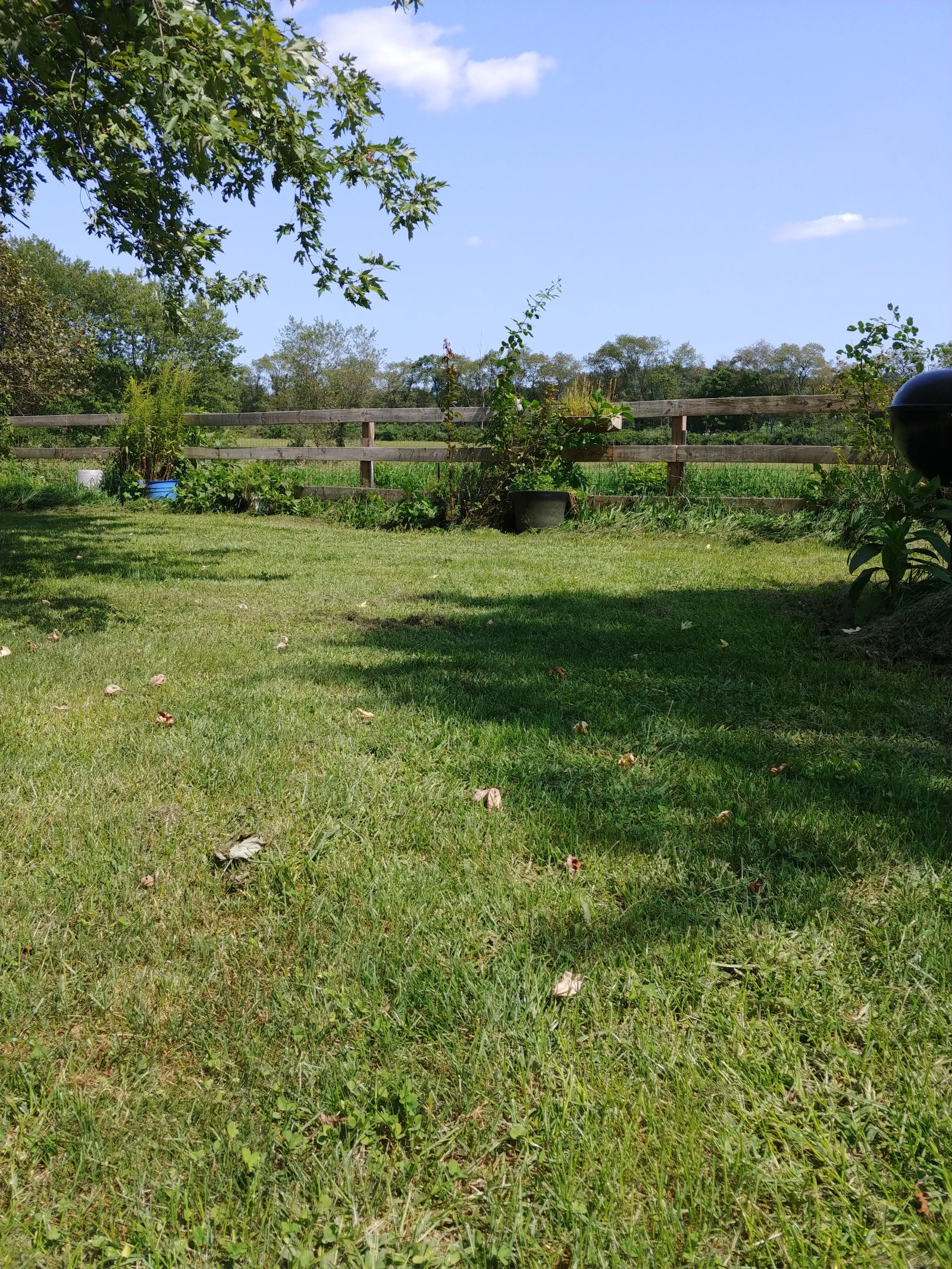 Chùm ảnh chụp từ LG V30 vừa ra mắt ảnh 10