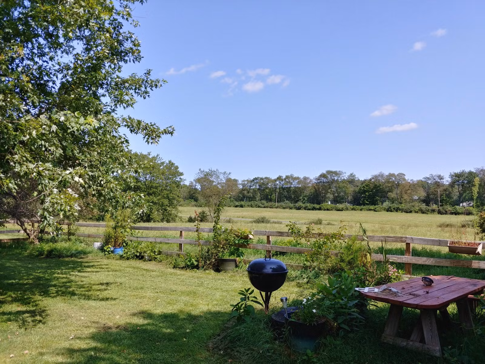 Chùm ảnh chụp từ LG V30 vừa ra mắt ảnh 8