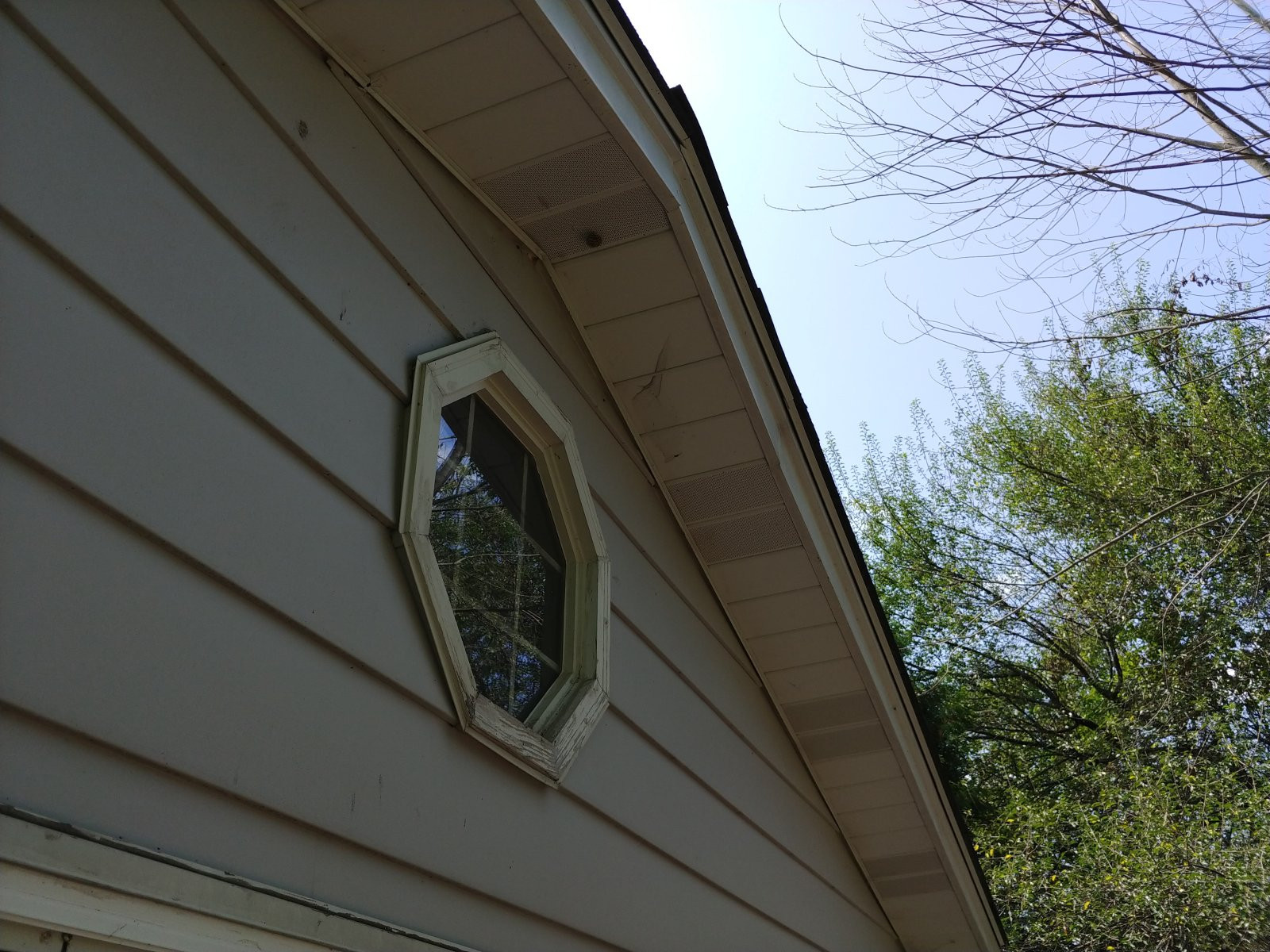 Chùm ảnh chụp từ LG V30 vừa ra mắt ảnh 7