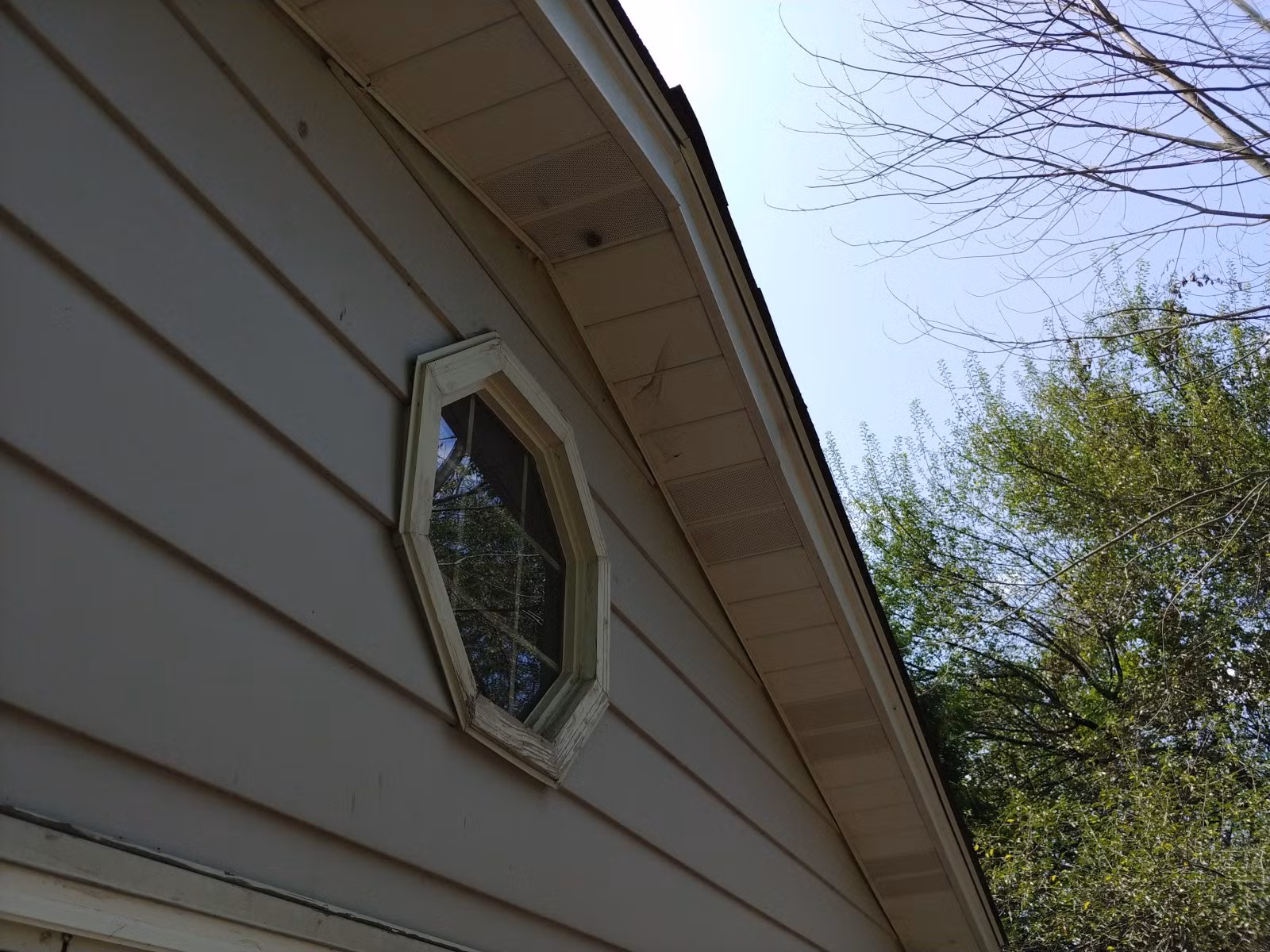 Chùm ảnh chụp từ LG V30 vừa ra mắt ảnh 7