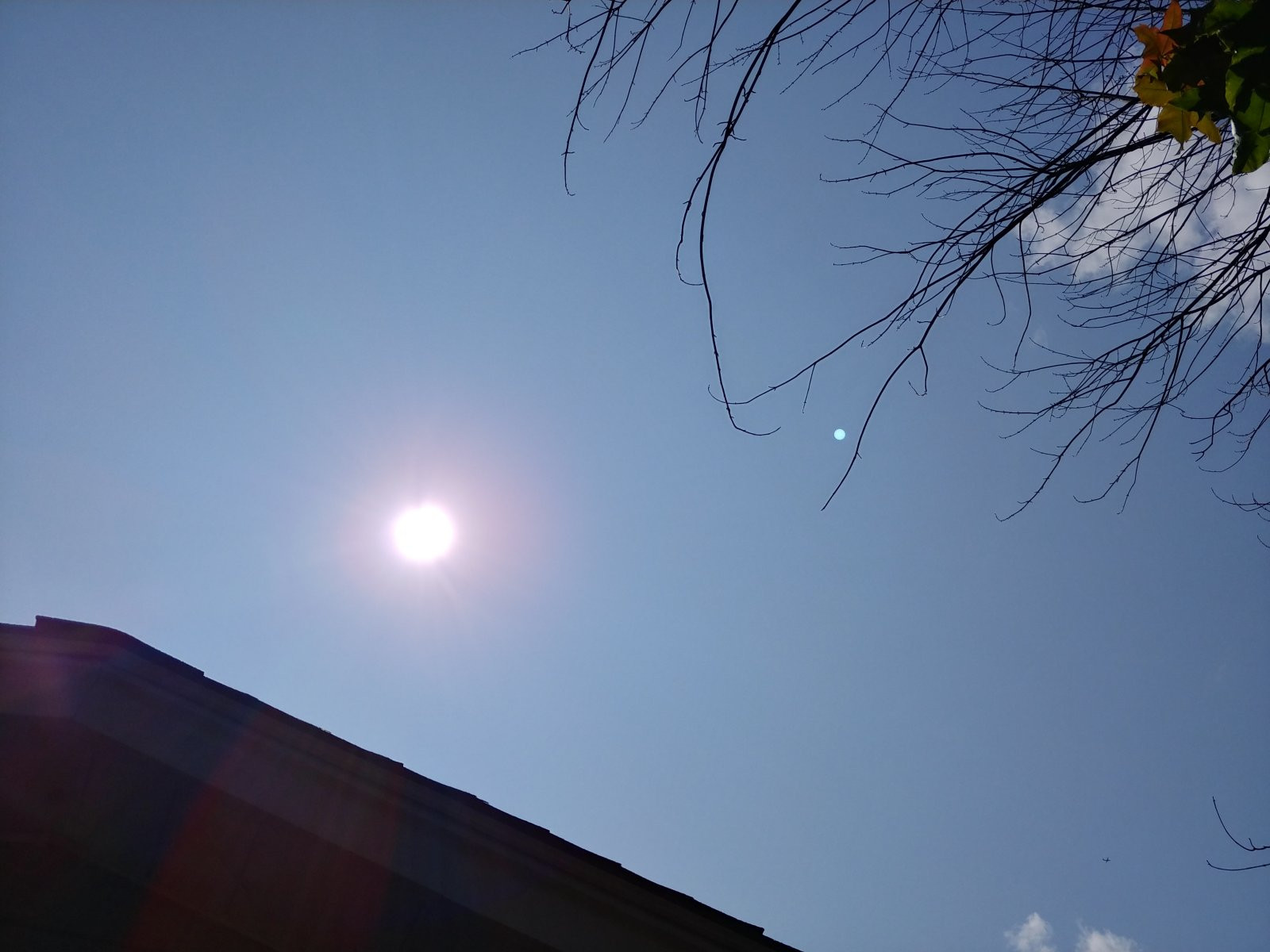 Chùm ảnh chụp từ LG V30 vừa ra mắt ảnh 3