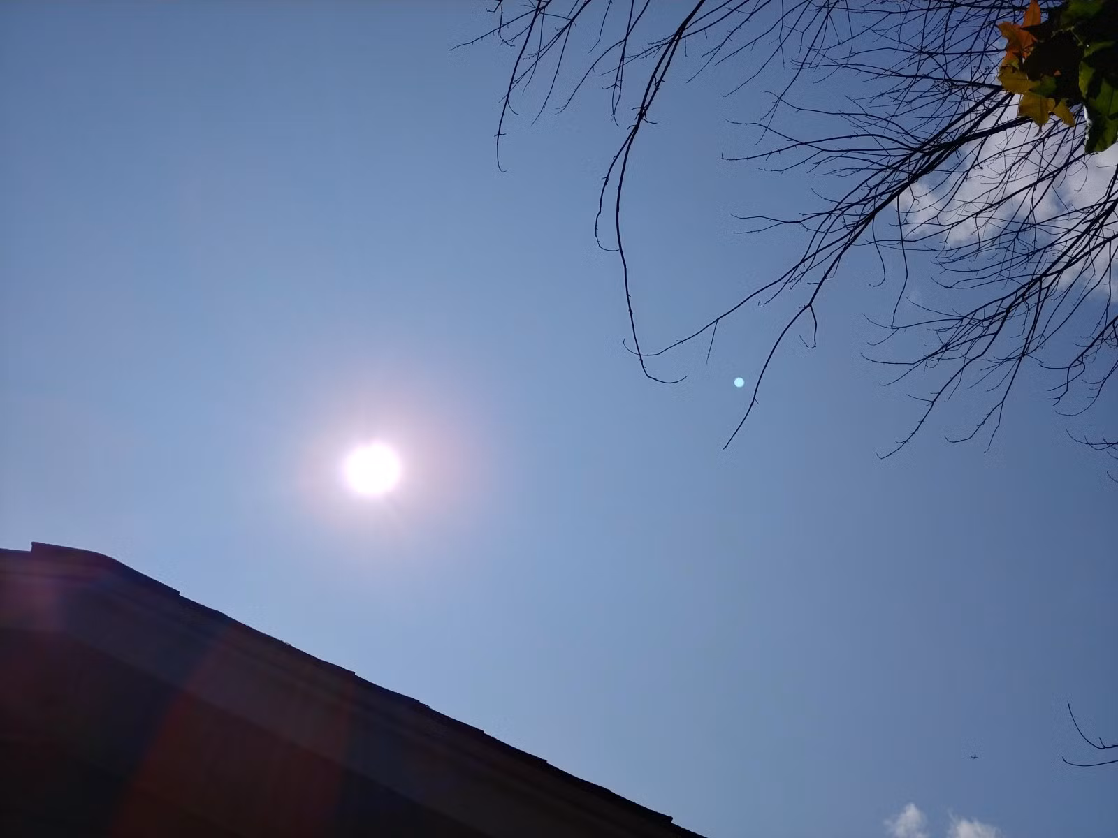 Chùm ảnh chụp từ LG V30 vừa ra mắt ảnh 3