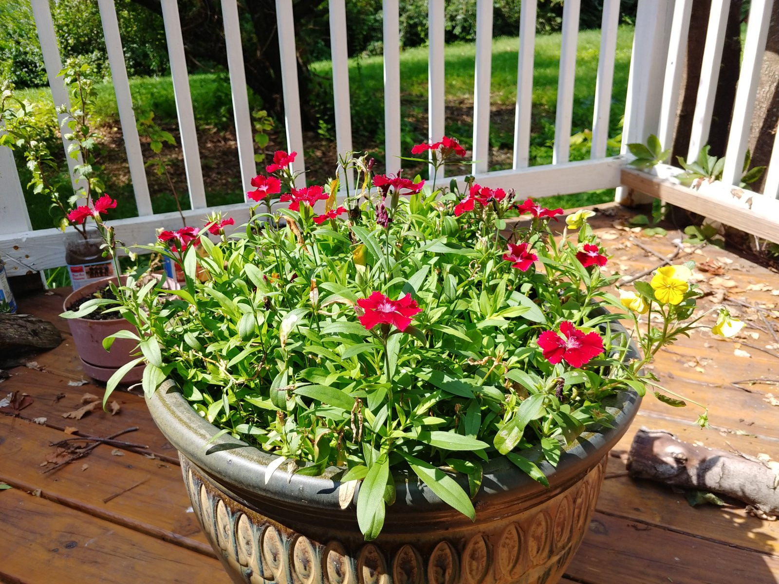 Chùm ảnh chụp từ LG V30 vừa ra mắt ảnh 4