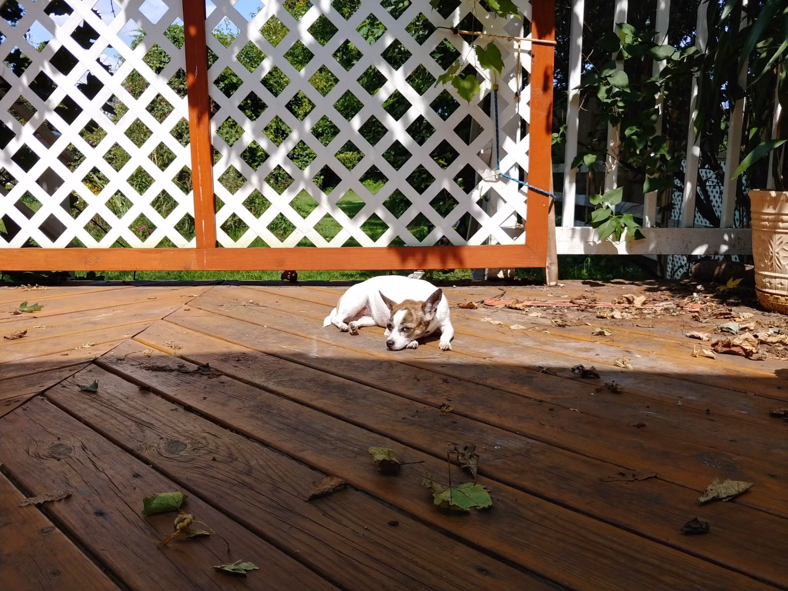 Chùm ảnh chụp từ LG V30 vừa ra mắt ảnh 1