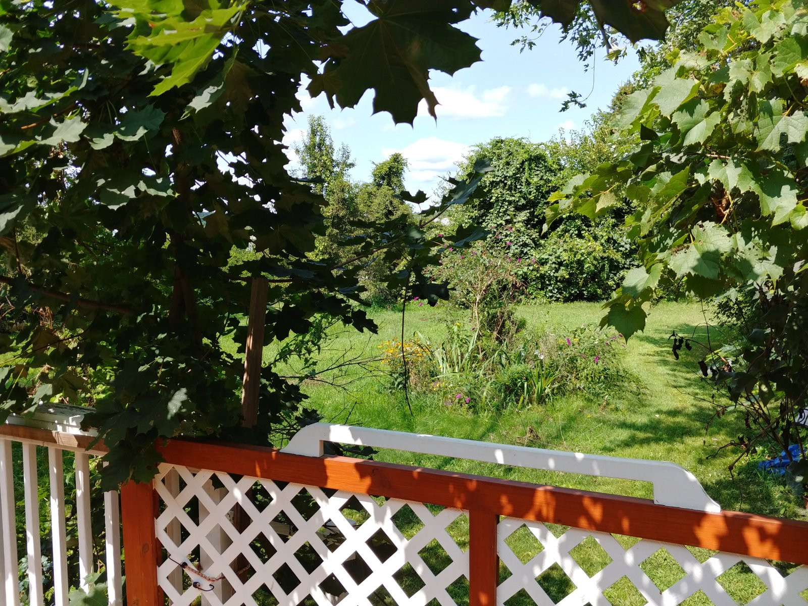 Chùm ảnh chụp từ LG V30 vừa ra mắt ảnh 2