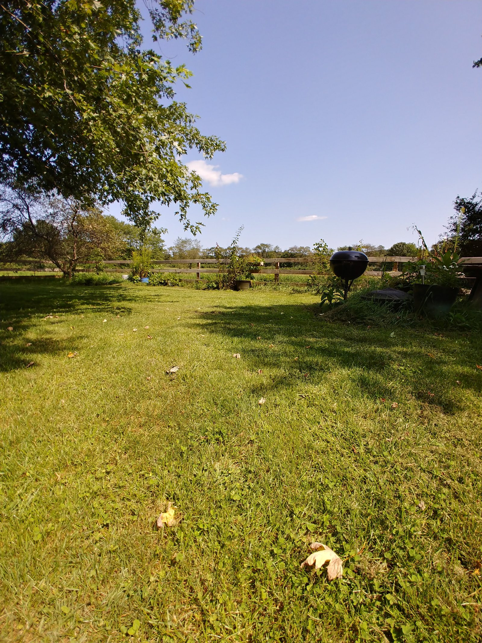 Chùm ảnh chụp từ LG V30 vừa ra mắt ảnh 9