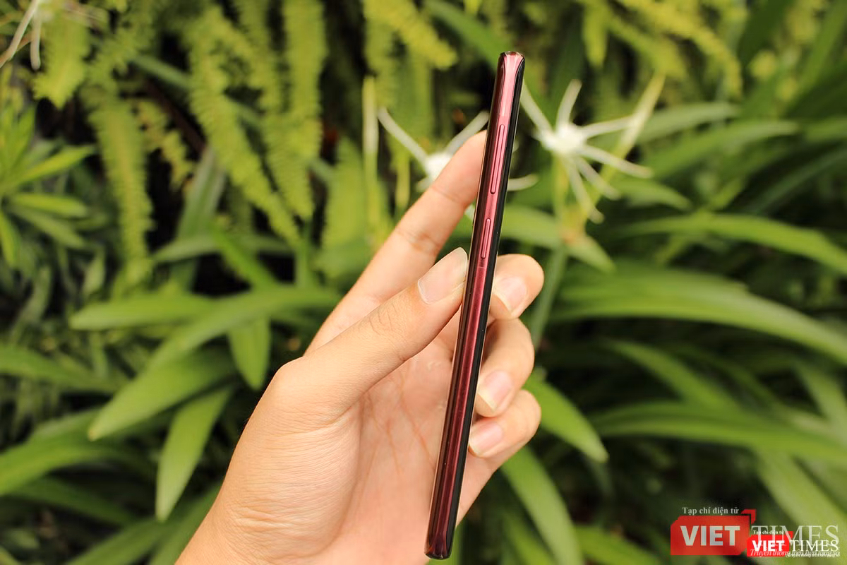 Màu đỏ tía nhìn góc nghiêng vẫn rất đẹp Màu đỏ tía nhìn góc nghiêng vẫn rất đẹp