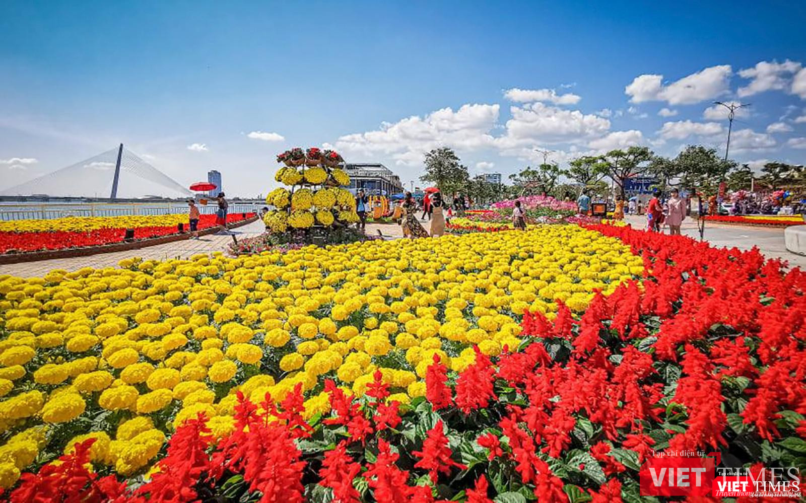 Đường hoa (ảnh Minh Tú)