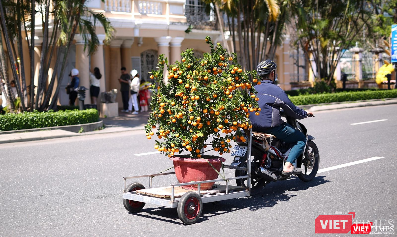 Chở xuân về nhà