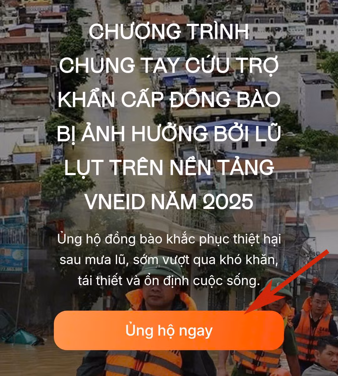 vneid ung ho 2 copy.jpg