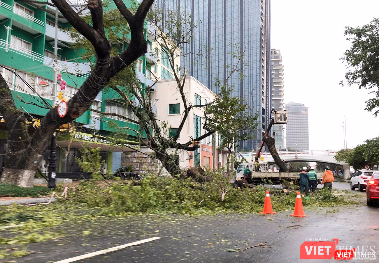 Cây cổ thụ trên đường Bạch Đằng bị gãy đổ nhanh chóng được dọn dẹp