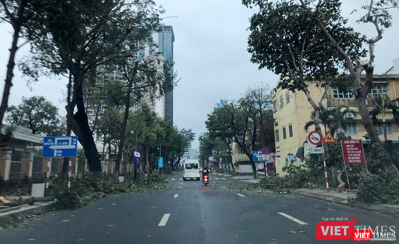 Gần như cây xanh trên toàn TP Đà Nẵng đều bị hư hại Gần như cây xanh trên toàn TP Đà Nẵng đều bị hư hại