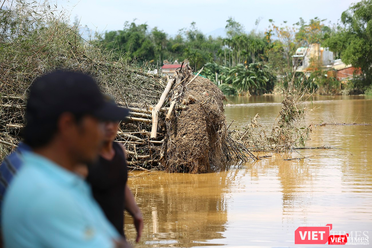 Lũ dữ cuốn bật gốc cả bụi tre