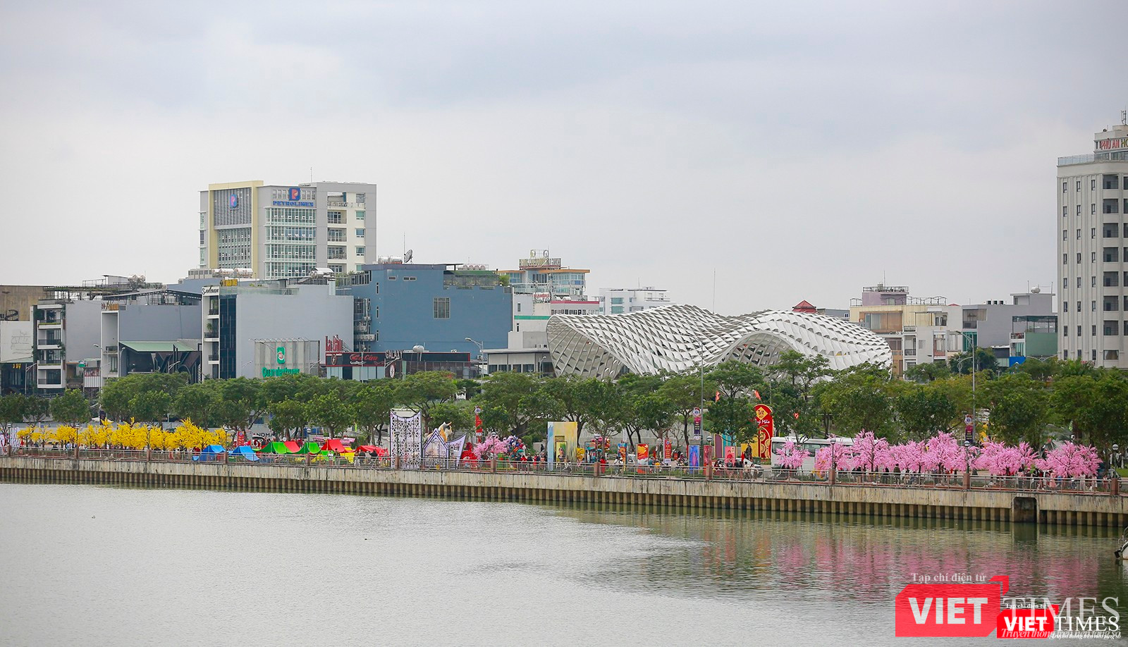 Đường hoa xuân Bạch Đằng đoạn công viên APEC