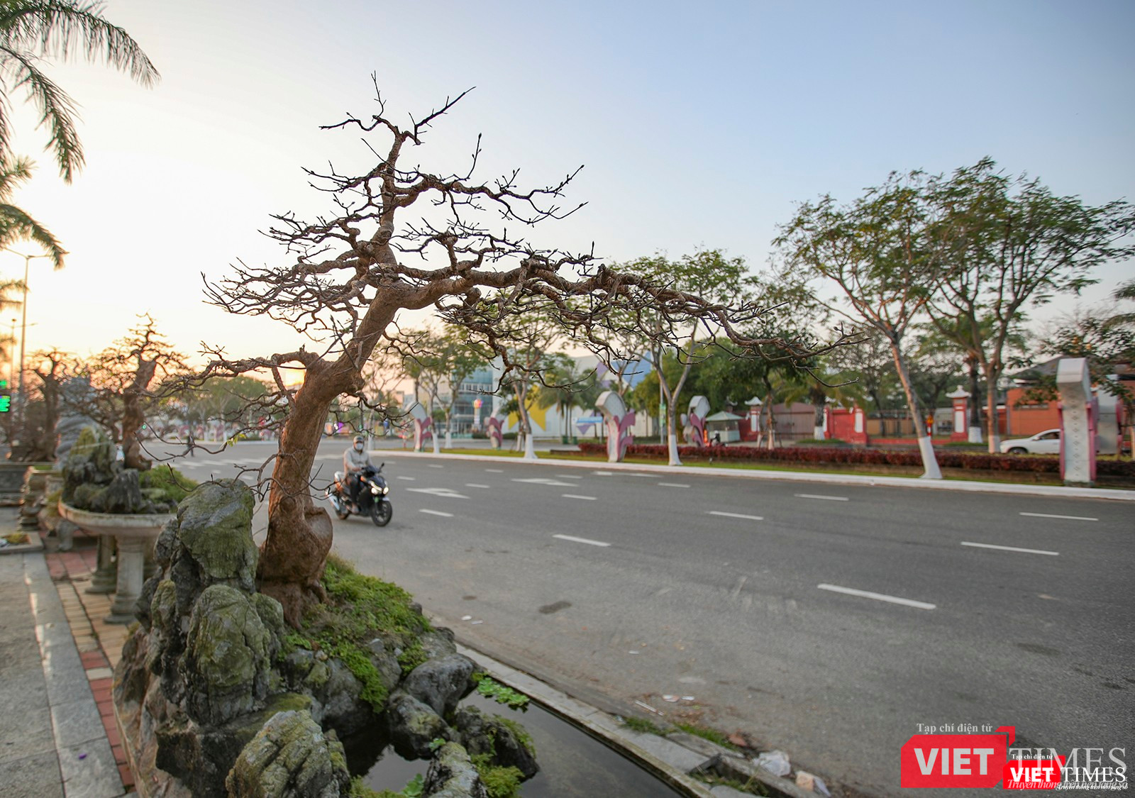 "Siêu phẩm" mai thế