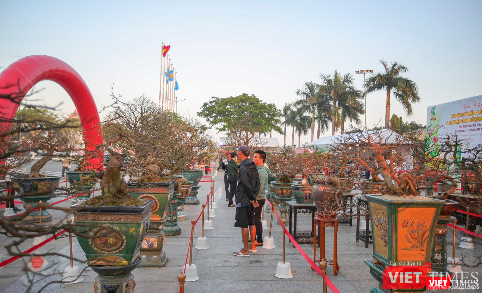 Giới mê hoa mai thưởng lãm các tác phẩm xuất sắc