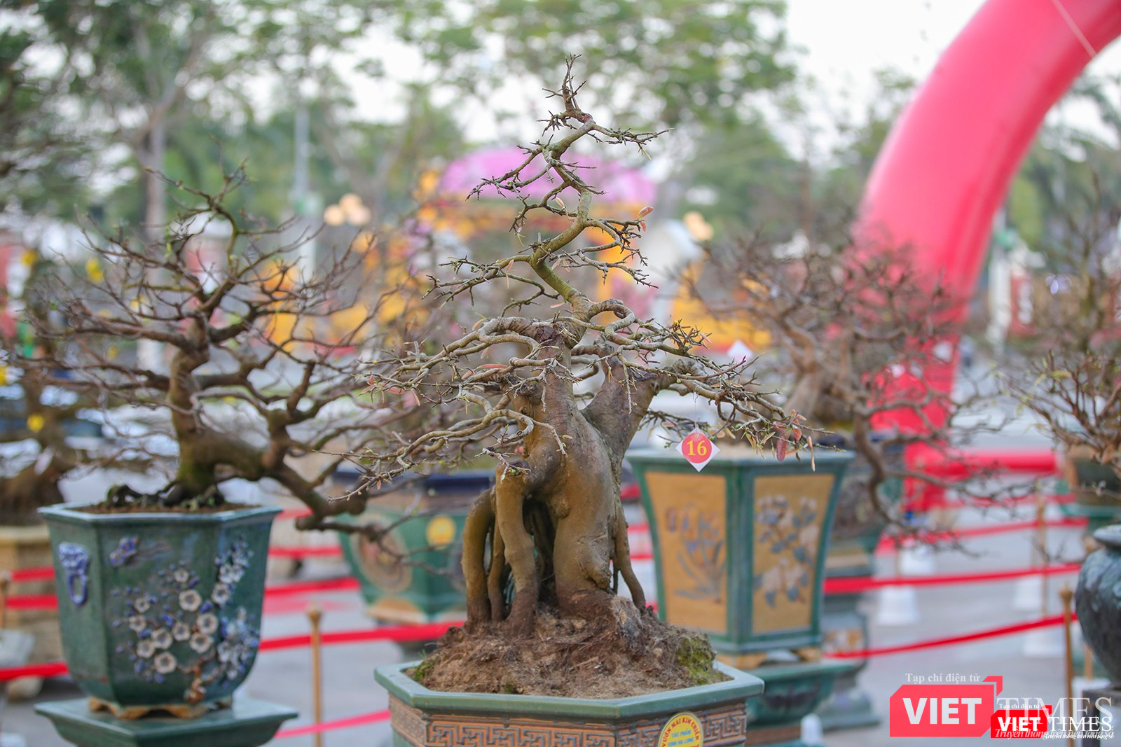 Các tác phẩm đến từ nhiều tỉnh thành miền Trung