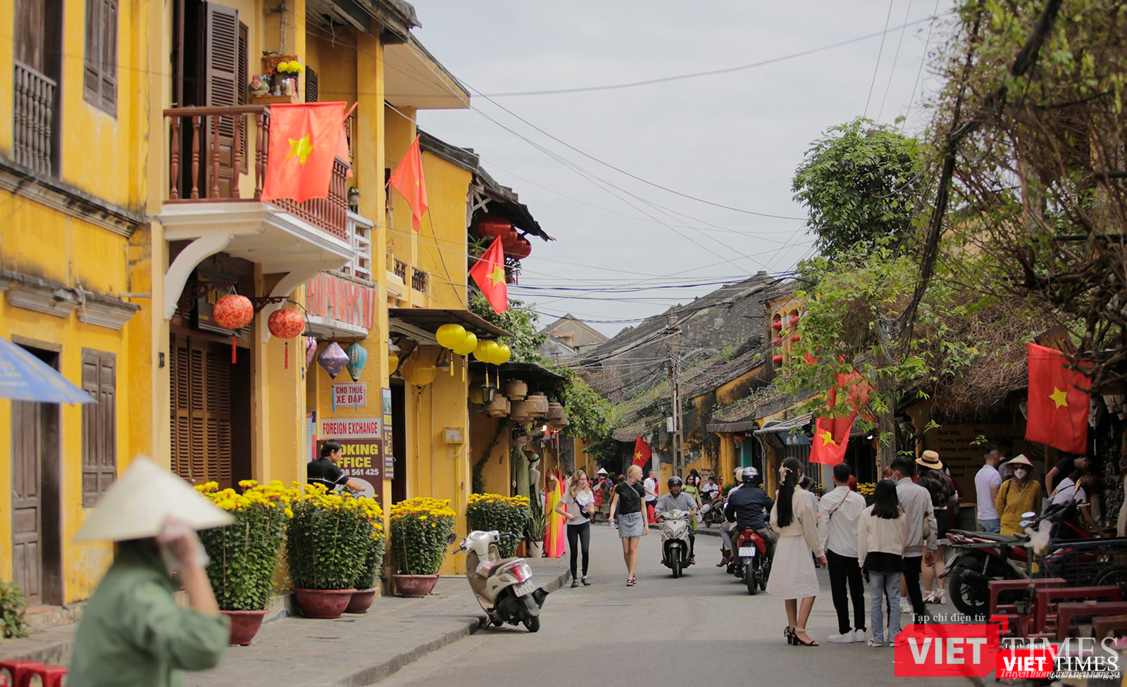 Rộn ràng phố Hội