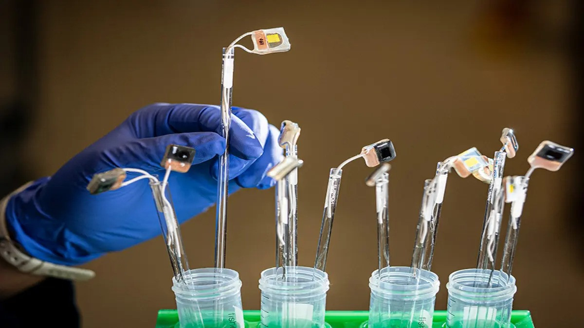 thi nghiem trung hoa CO2.jpg