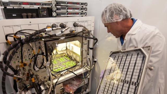 thi nghiem trong trot trong moi truong vi trong luc.jpg