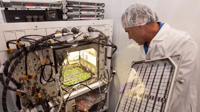 thi nghiem trong trot trong moi truong vi trong luc.jpg