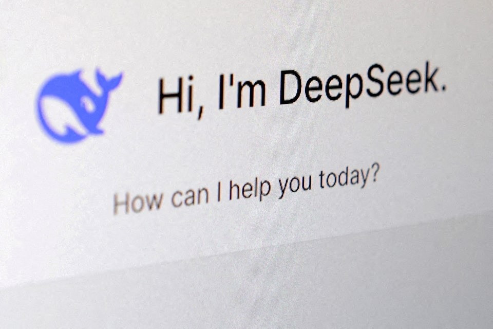 DeepSeek chatbot.jpg