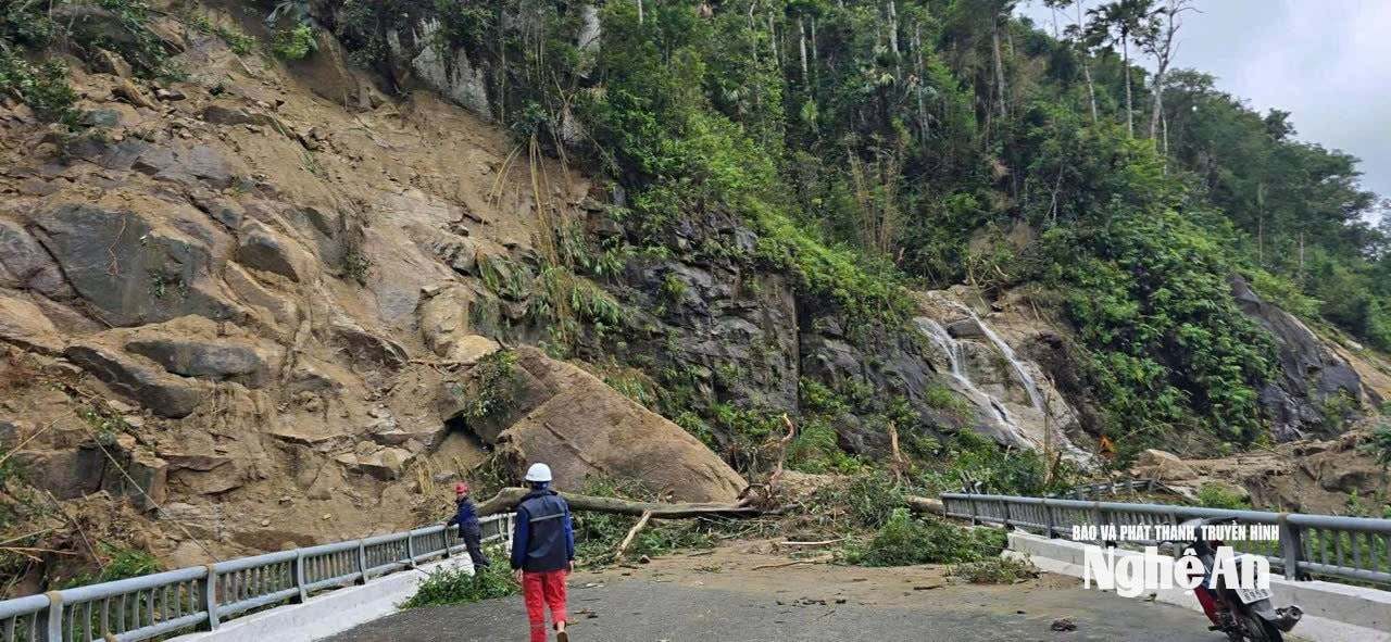 Cơn bão số 10 quật đổ nhiều cây xanh, gây tê liệt nhiều tuyến đường ở Nghệ An. Ảnh: Báo Nghệ An.