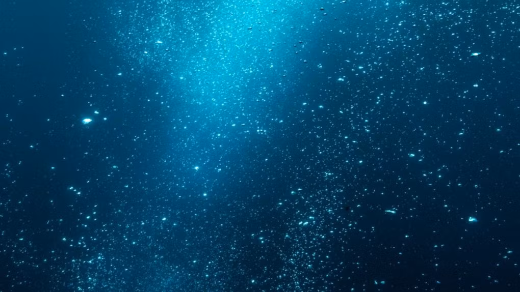 Đáy biển - Getty Images.jpg