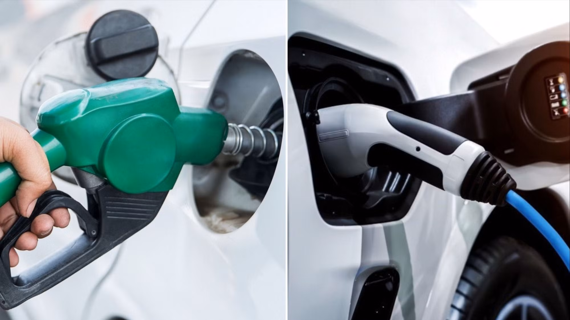 Thêm tiêu đề phụ (1).jpg