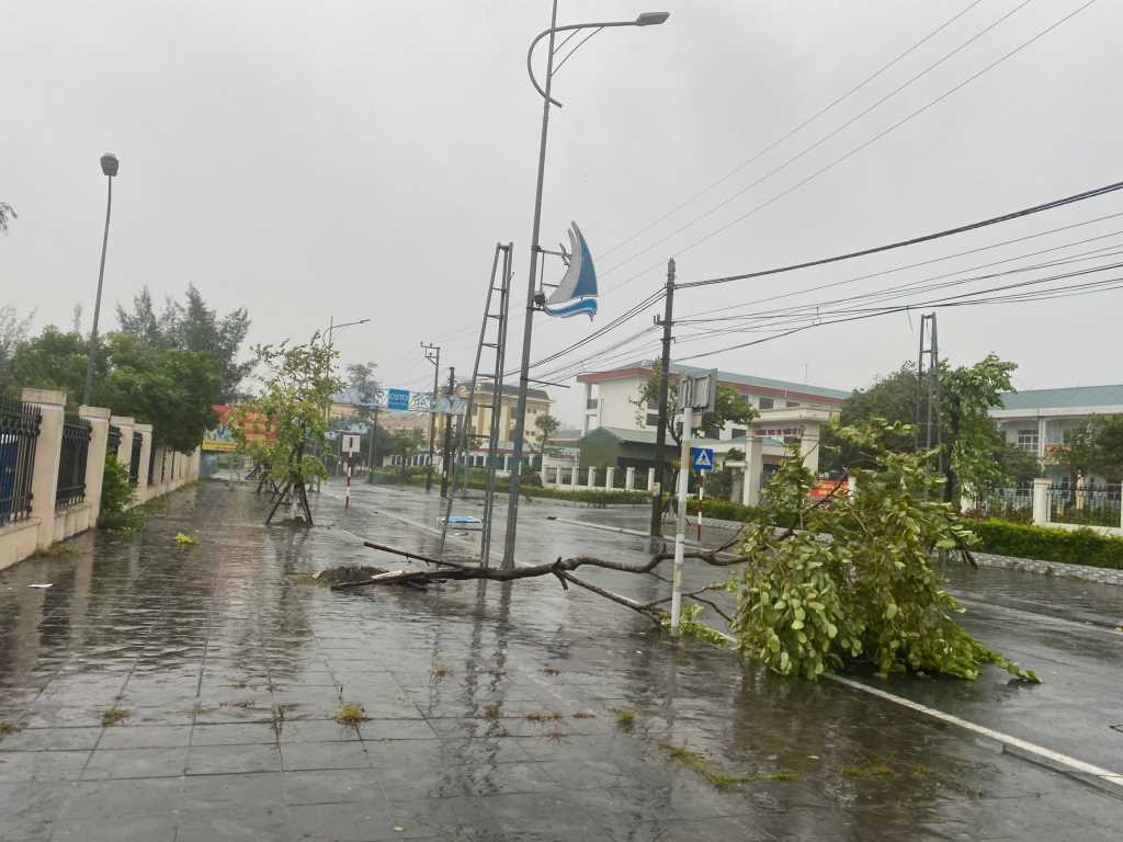 Bão đổ bộ trực tiếp vào Cô Tô gây mưa lớn, gió giật mạnh cấp 11, nhiều cây cối gãy đổ2.jpg