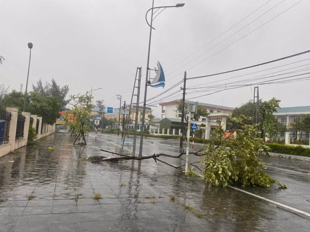 Bão đổ bộ trực tiếp vào Cô Tô gây mưa lớn, gió giật mạnh cấp 11, nhiều cây cối gãy đổ2.jpg