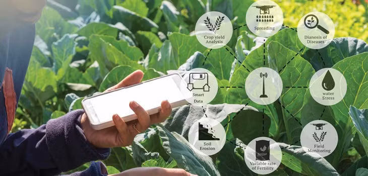 ung-dung-block-chain-trong truy xuat nguon goc.jpg