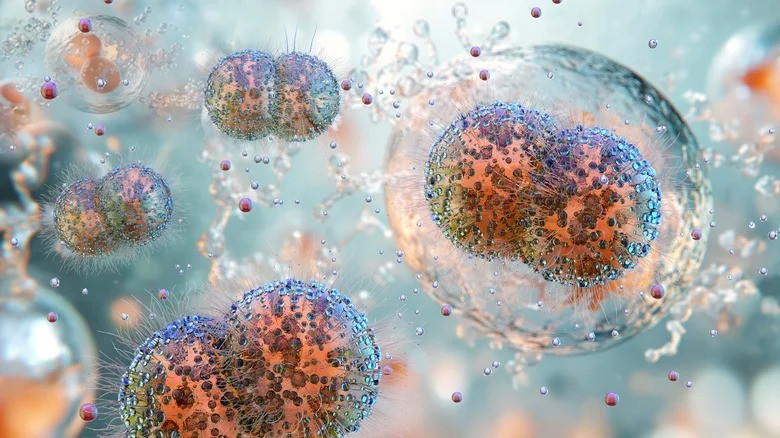 vi khuan - Getty.jpg