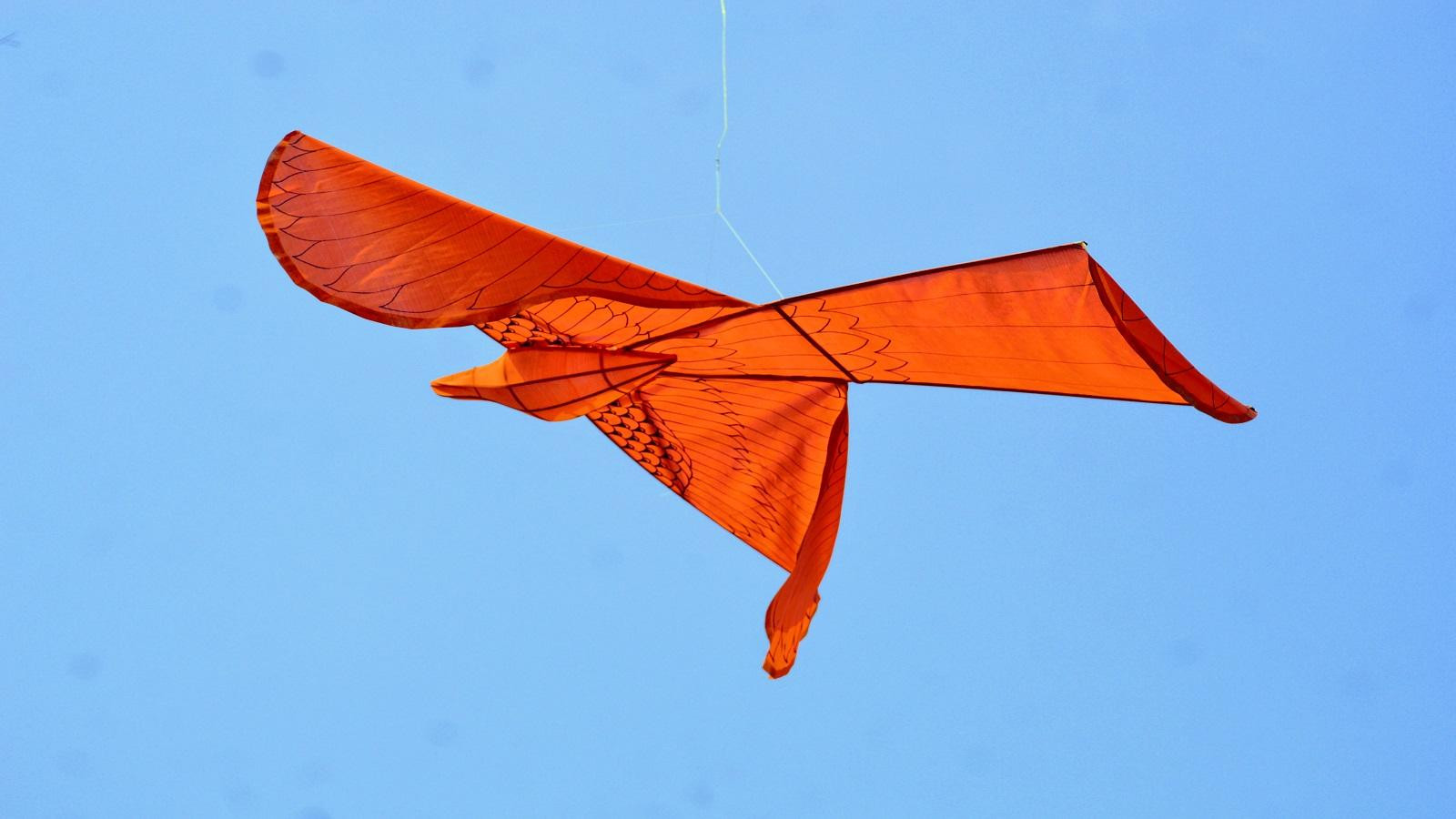 Cánh diều hình con chim đang bay được thả lên bầu trời