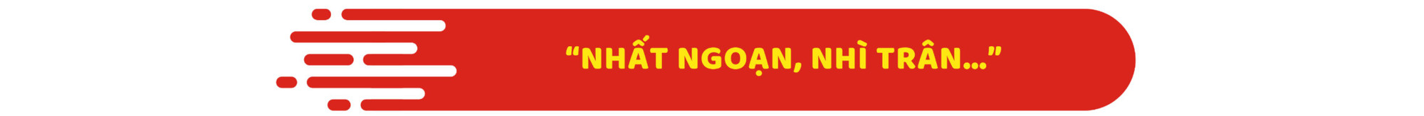 Bản sao của Beige Illustrated History Presentation (2).png