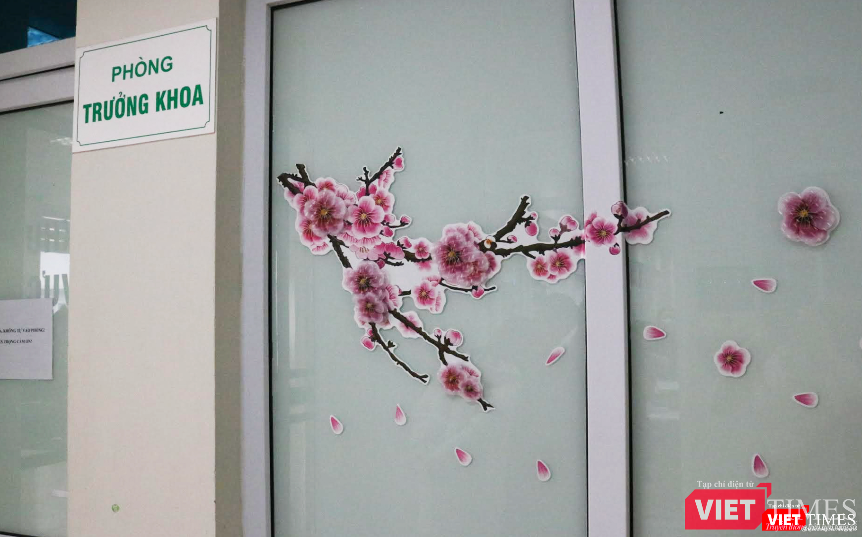 Do đón Tết xa nhà, làm việc 24/24 nên các bác sĩ đã dán hình ảnh cây đào để tạo không khí đón mừng năm mới, thay thế cho cây đào thật (Ảnh - Minh Thuý)