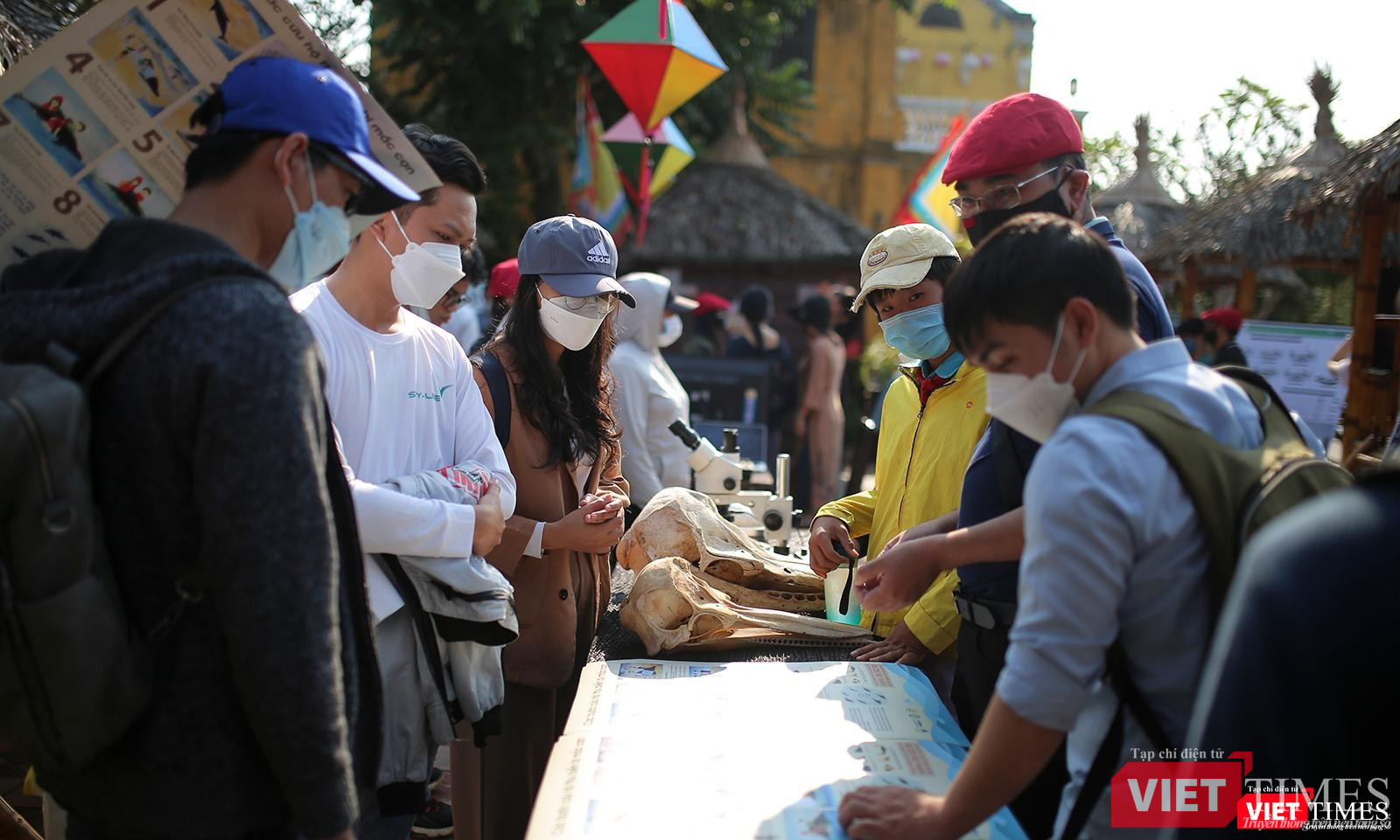 Triển lãm giới thiệu động vật biển