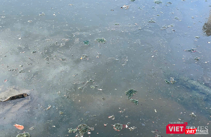 vt_bien du lich 4.png