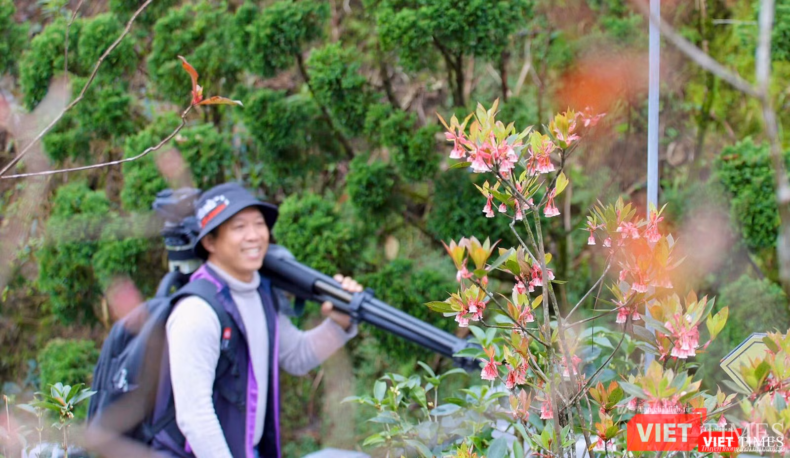 Một nhiếp ảnh giat ập kết đến điểm có hoa đào chuông để săn ảnh