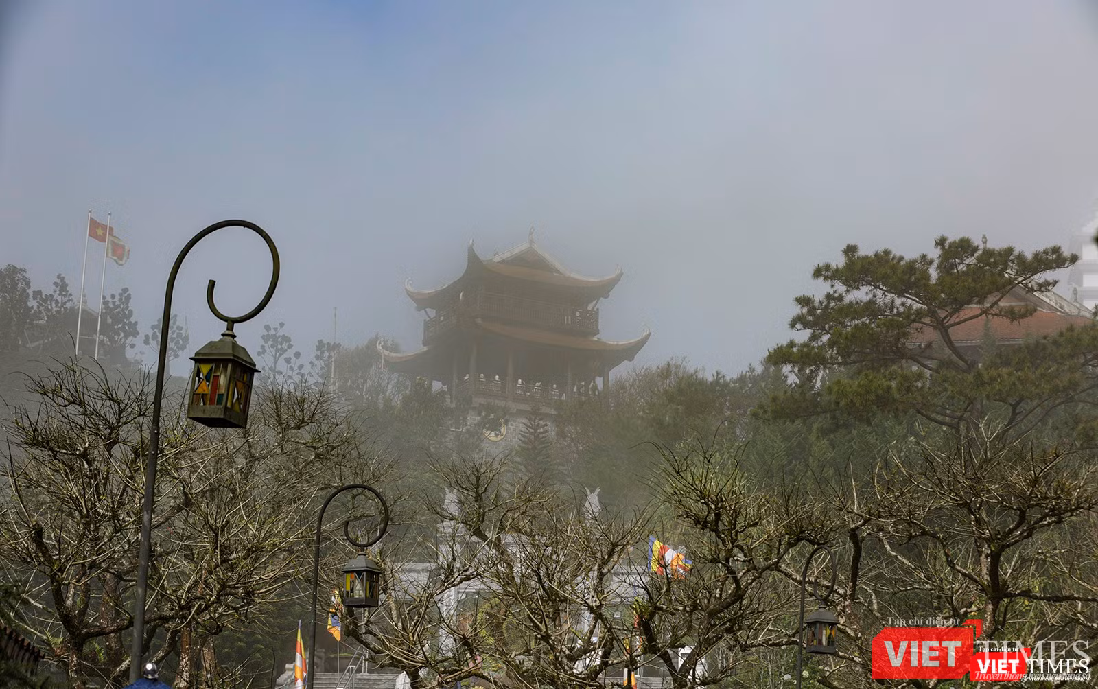 Trên đỉnh Bà Nà, khu vực tháp chuông là nơi có mật độ hoa đào chuông nhiều nhất