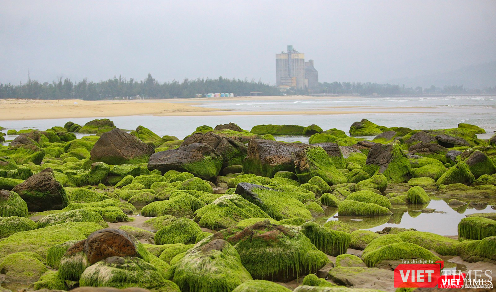 Một góc gành đá Nam Ô vào mùa rêu