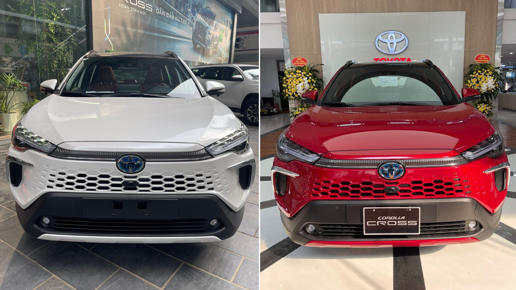 Thư viện 2 Hình ảnh (2).jpg