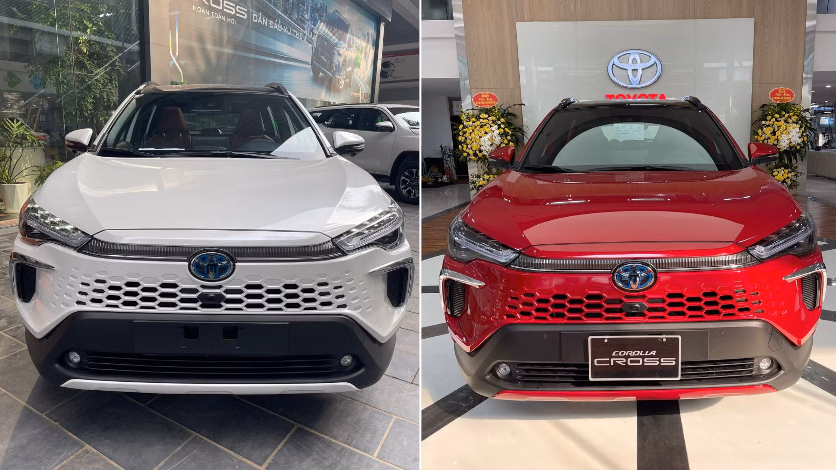 Thư viện 2 Hình ảnh (2).jpg