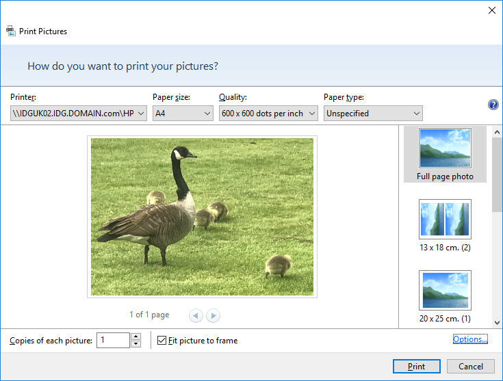 Mách bạn cách in ảnh phủ hoàn toàn tờ giấy A4 ảnh 3