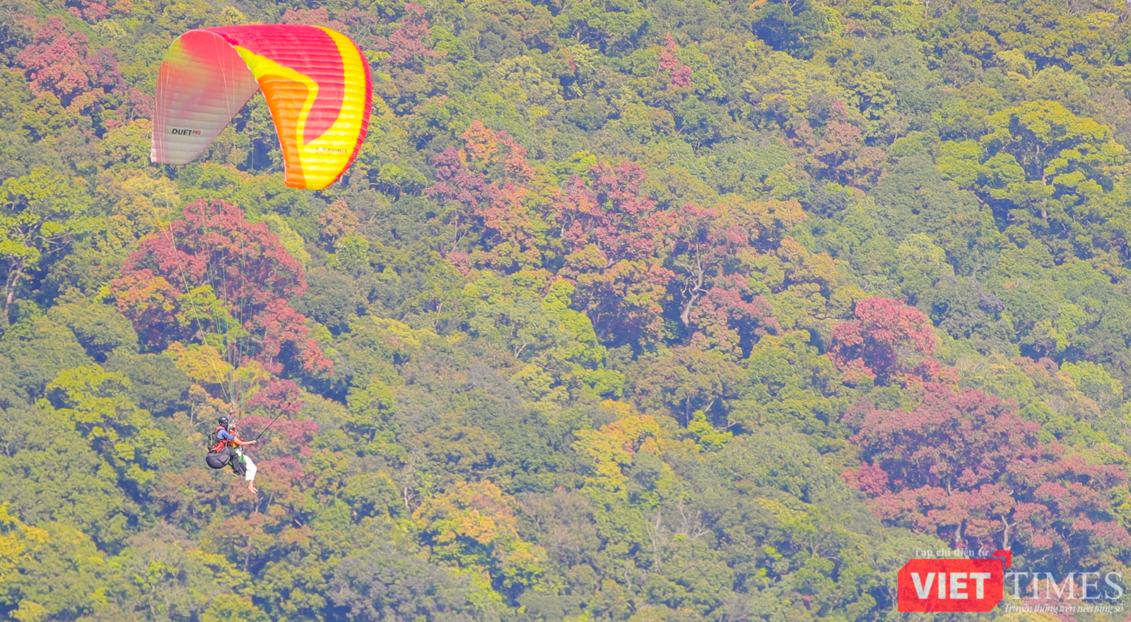 vt_dinh ban co 0.png