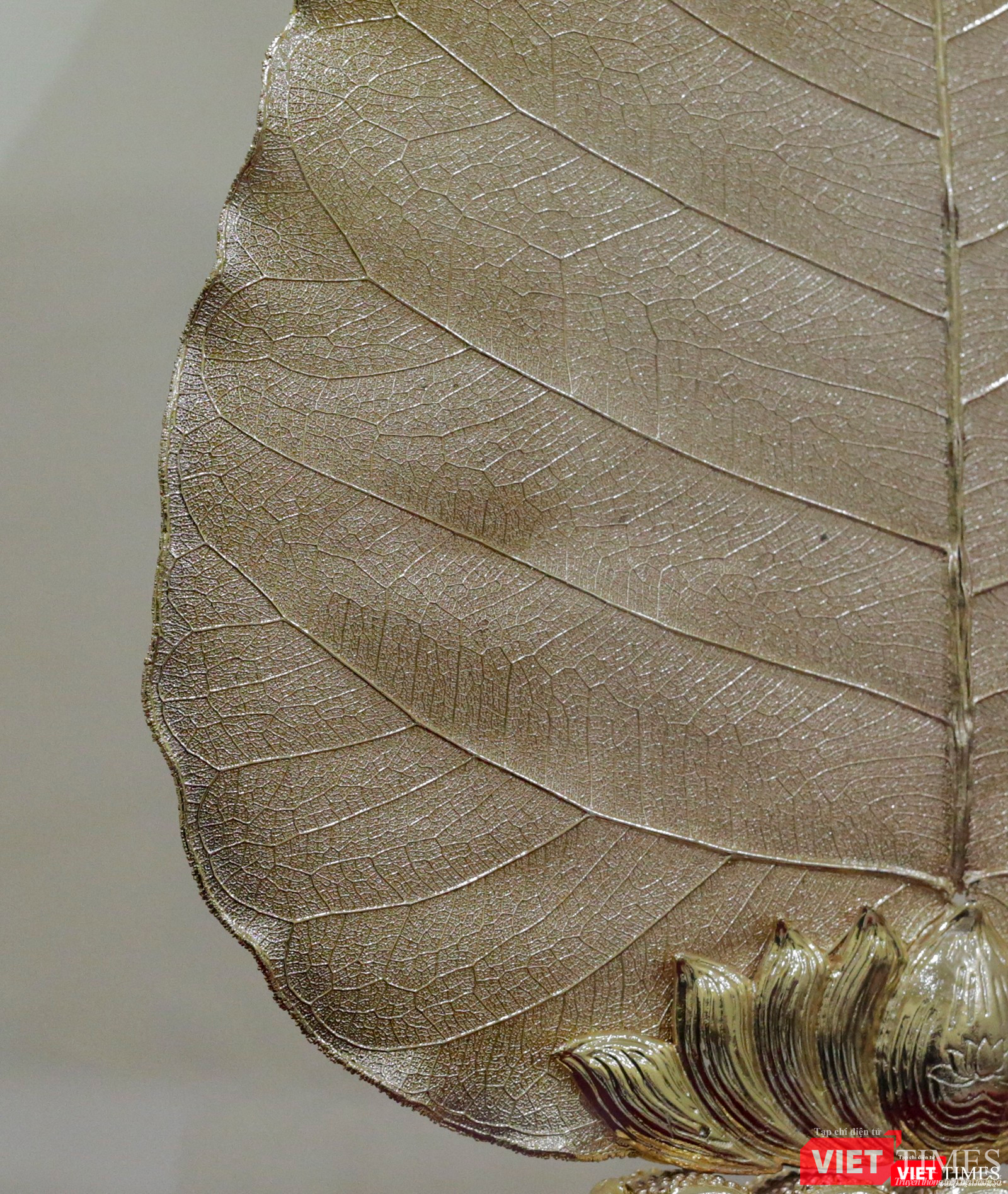 Gân lá nổi chi tiết độc đáo