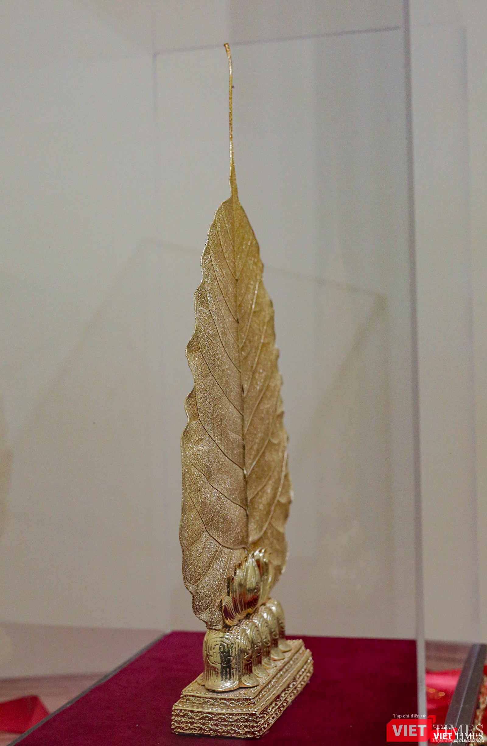 Chiếc lá cao chừng 25cm