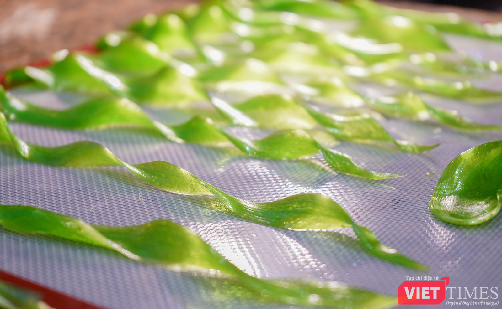 vt_nghe thuat che tac duong 17.png