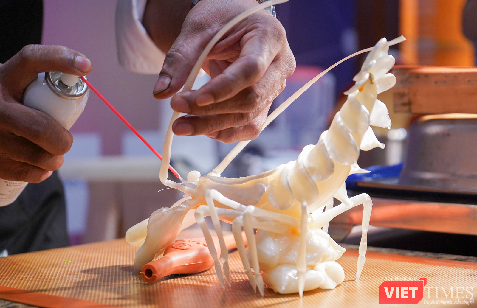 vt_nghe thuat che tac duong 11.png