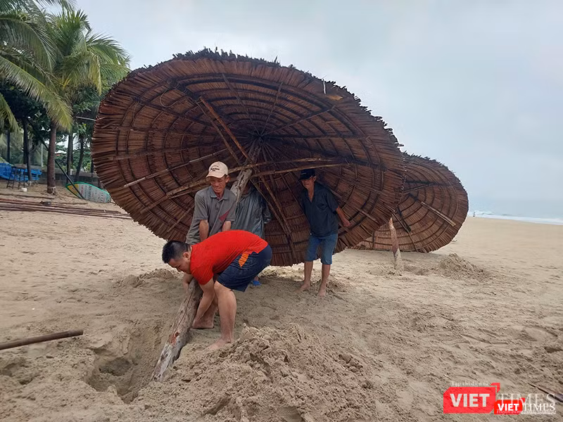 vt_ung pho bao 18.png